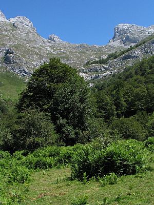 Carombo y Punta Extremera