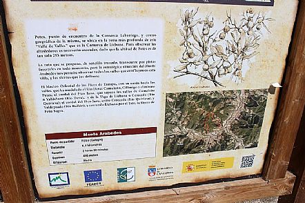 Panel Monte Arabedes