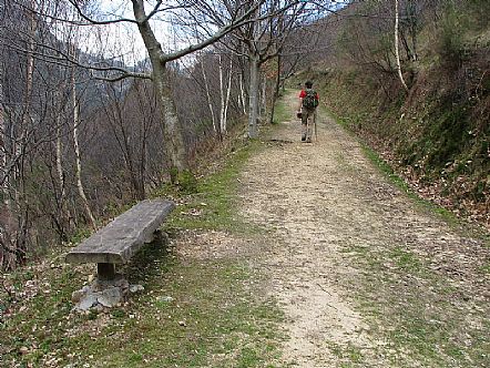 Camino del mirador
