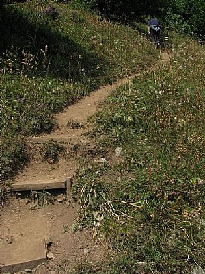 escalones