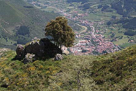 Potes
