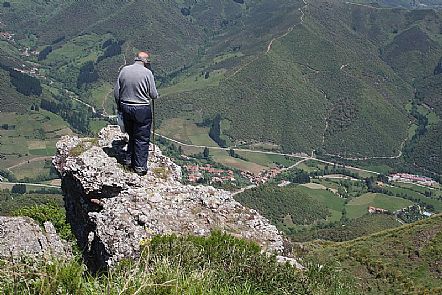 Turieno