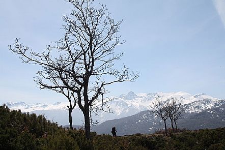La Viorna