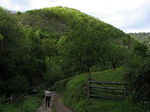 Desvo Campo Las Santas (Arroyo Trespalcios)