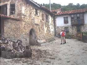 Colio