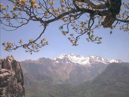 Macizo del Cornin desde la cresta Sur del Aboguero