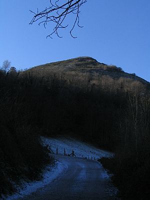 Camino del puerto