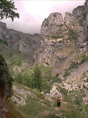 Canal de Mesones