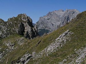 Collao Solano