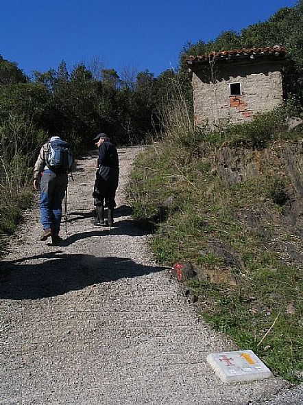 Camino Jacobeo