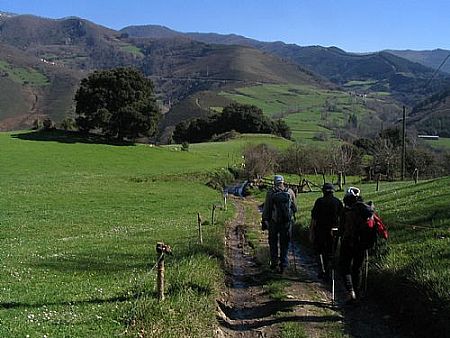 Camino Jacobeo