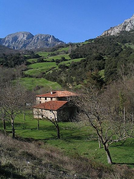 Castro Cillorigo (Los Ciruenzos)