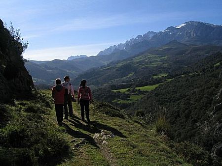 Camino Viejo