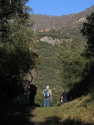 Camino Viejo (Majadas de Lebea y Collao de Arcen)