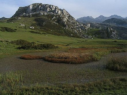 La Llucia