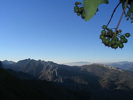 Cabeza Pandescura, Collaos Pontigos y Par Beranzas