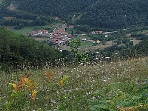 Pido (Libana)