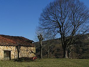 Posadorio