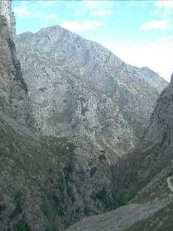 Canal del Tejo