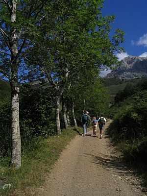 pista de la majada de Argoya