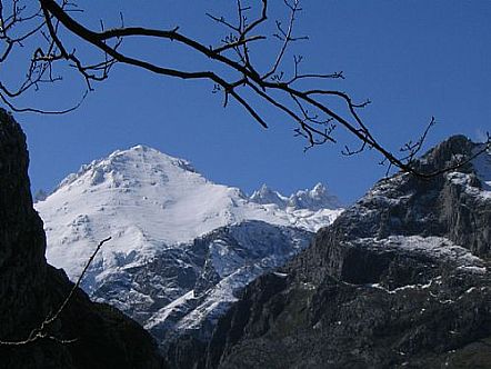 Cueto del Albo