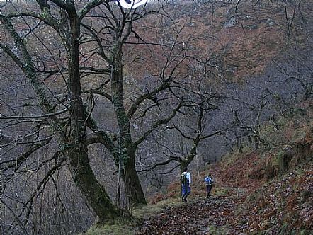 camino del puerto