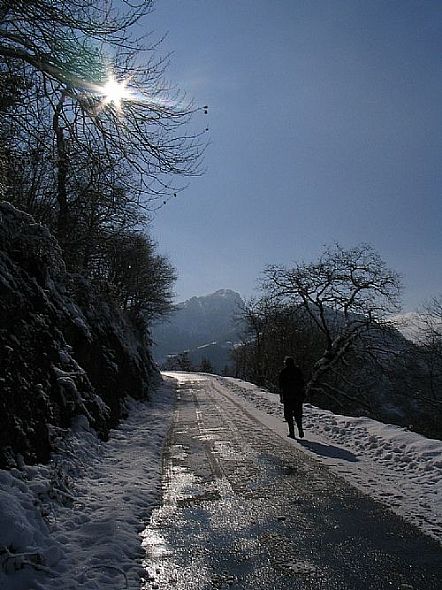 Carretera de San Romn (Amieva)