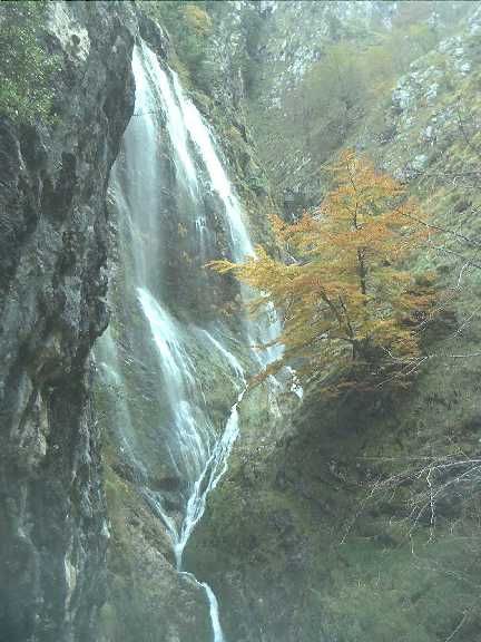 Ro Chico