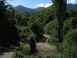 bifurcacin: cuencas del Cares y del Ro Argoya