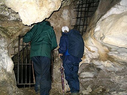 Cueva del Bosque