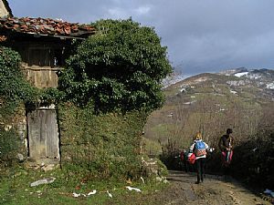 camino del puerto