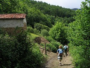 pista Collao Tojo - Pembes