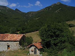 Majada Argoya