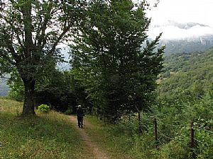 camino de las fuentes del Deva