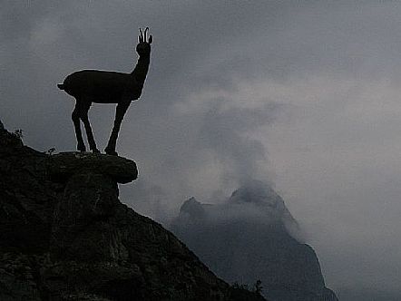 Mirador del Tombo