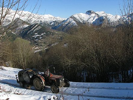 Un tractor en apuros subiendo comida para las vacas