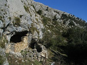 Cueva Curios