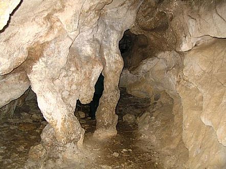 Cueva del Bosque