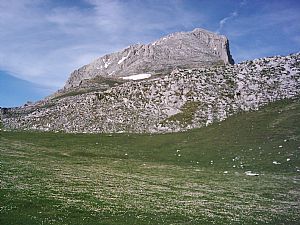 Picos de Cmara