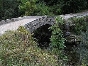 Puente Barrejo (ro Cares)